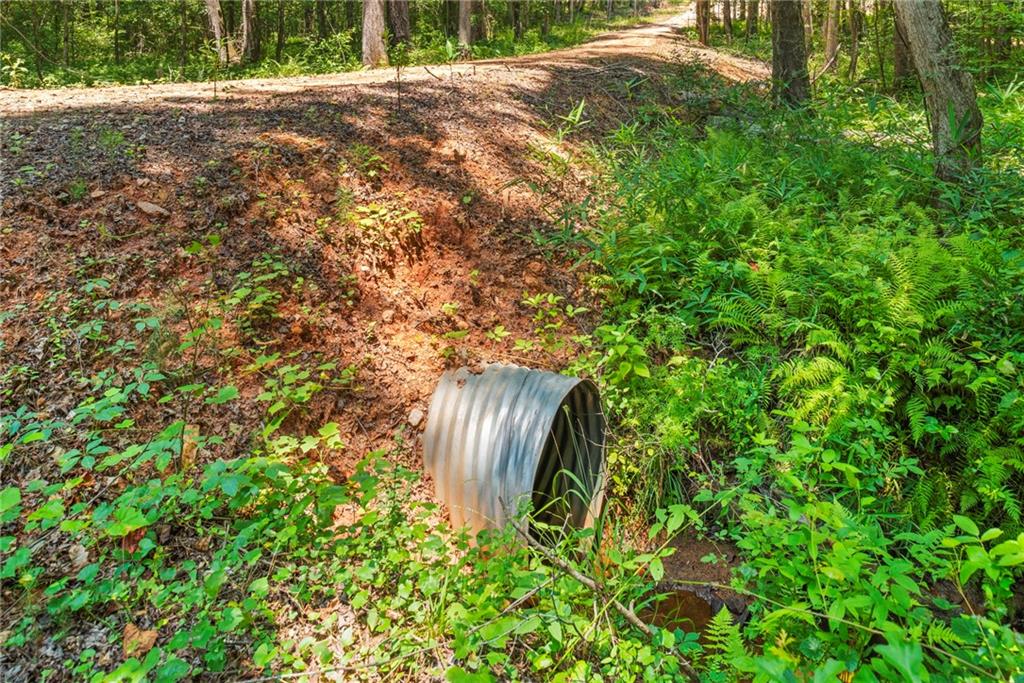 1063 Glover Road, Zebulon, Georgia image 9