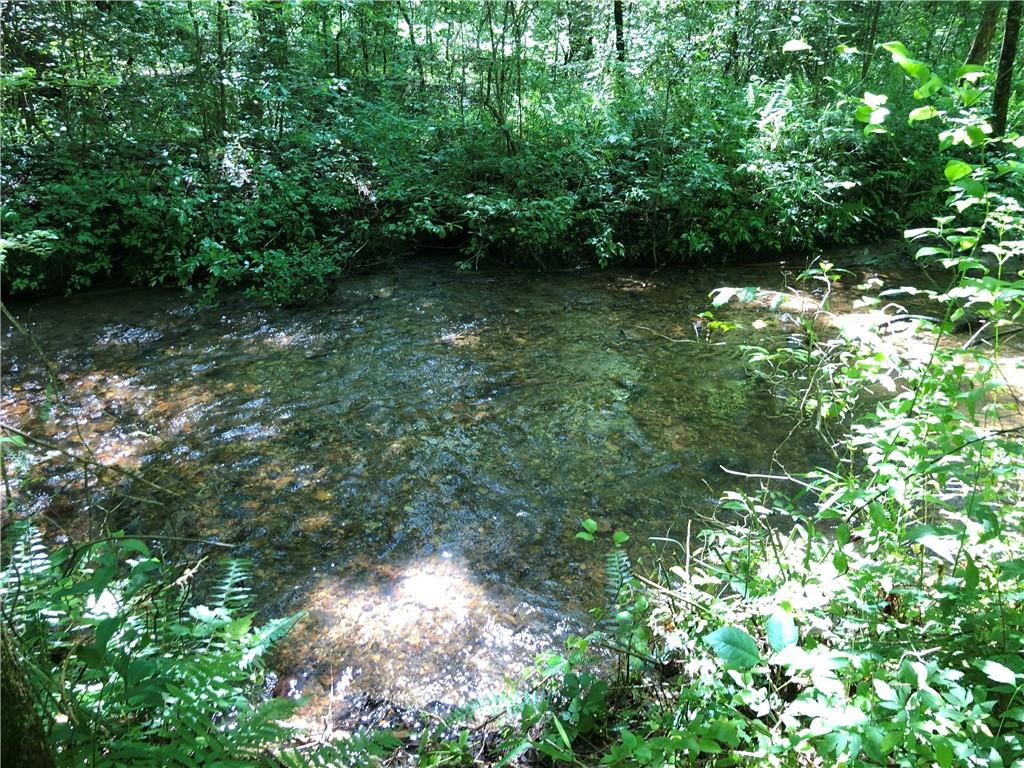 Meadowbrook Lane, Ellijay, Georgia image 9