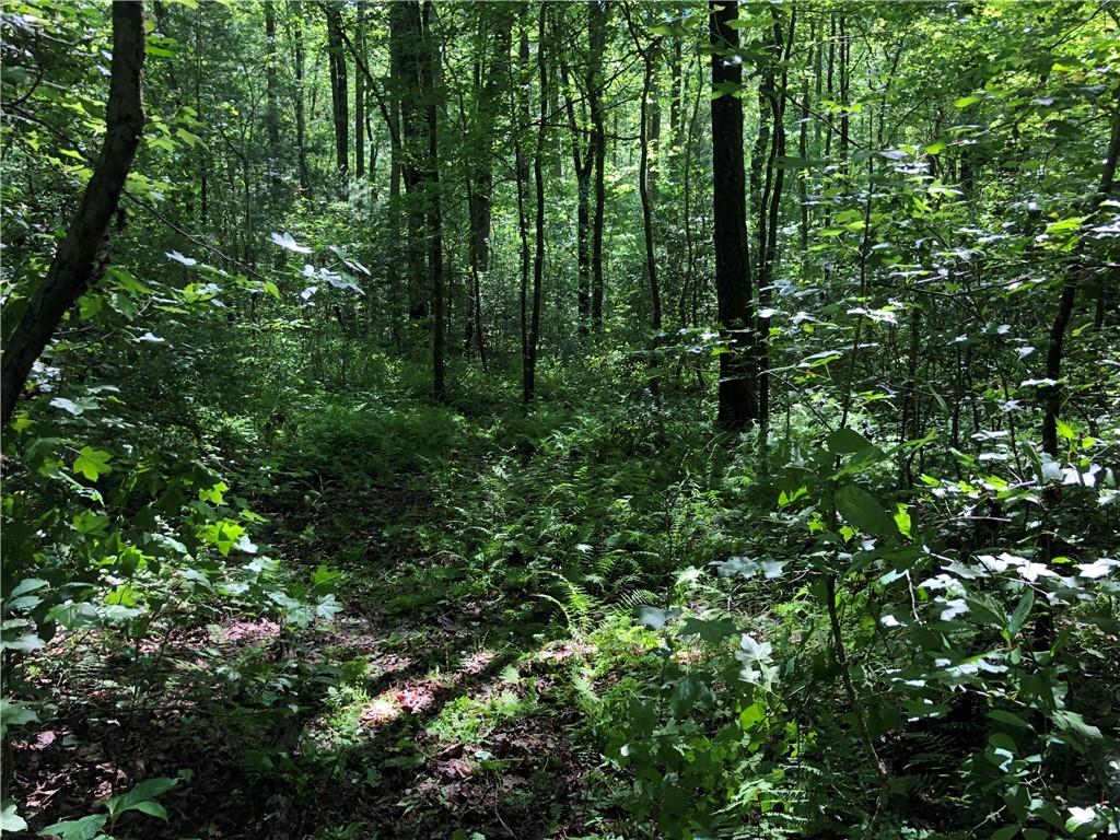 Meadowbrook Lane, Ellijay, Georgia image 17