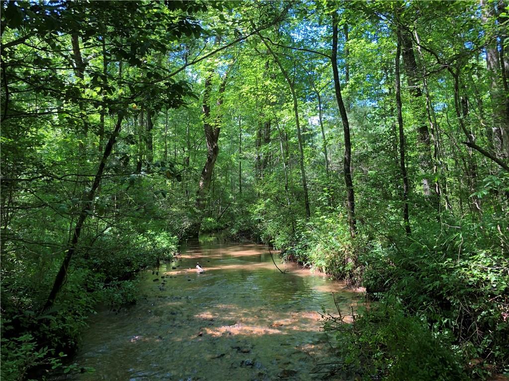 Meadowbrook Lane, Ellijay, Georgia image 18