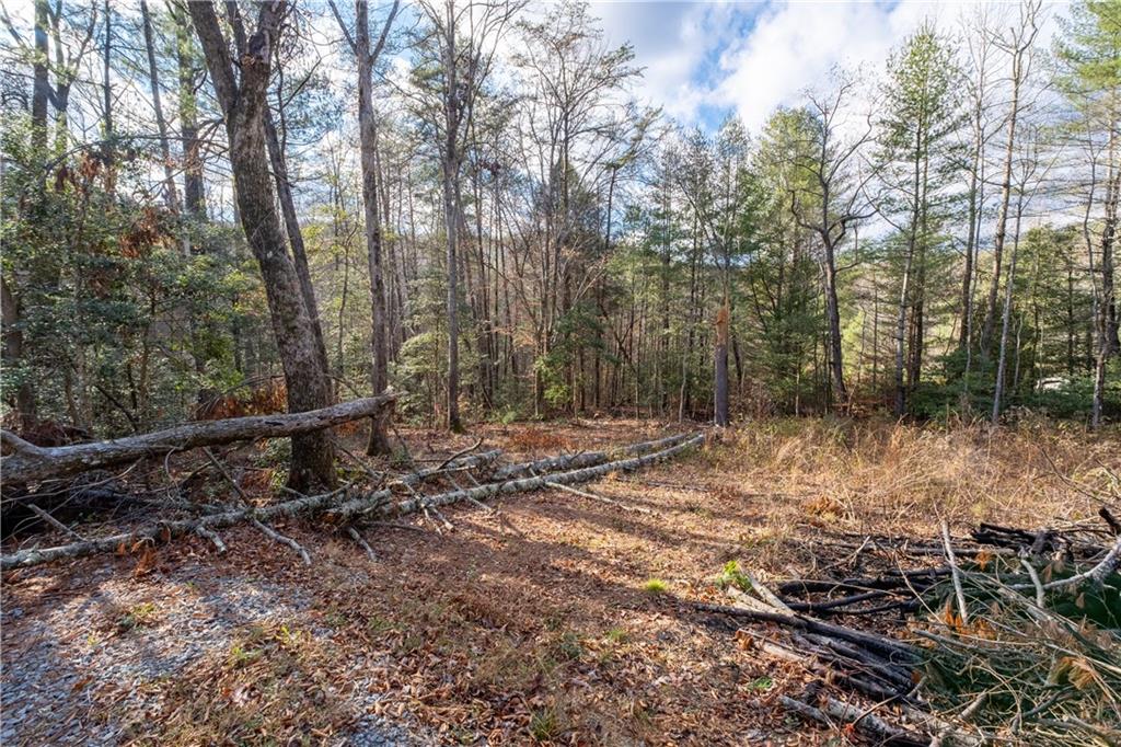 Meadowbrook Lane, Ellijay, Georgia image 26