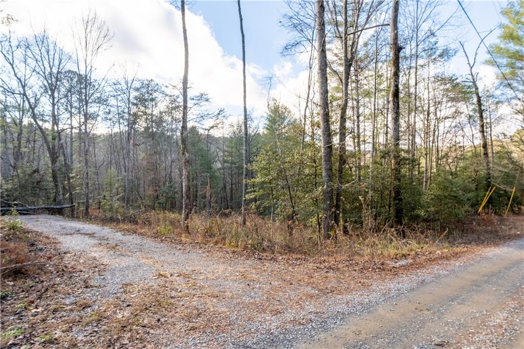 Meadowbrook Lane, Ellijay, Georgia image 3