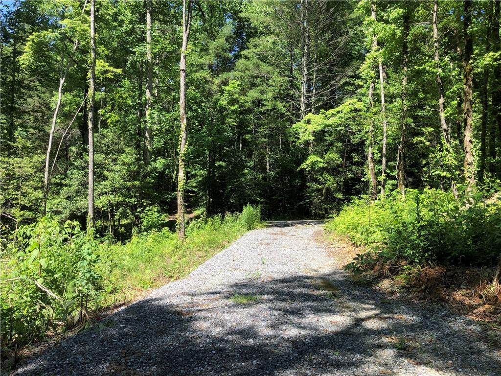 Meadowbrook Lane, Ellijay, Georgia image 10