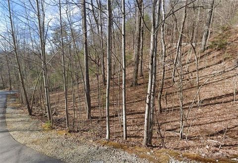 Vacant Land For Sale - Brown Hawk Drive<br/> Clayton, GA 30525