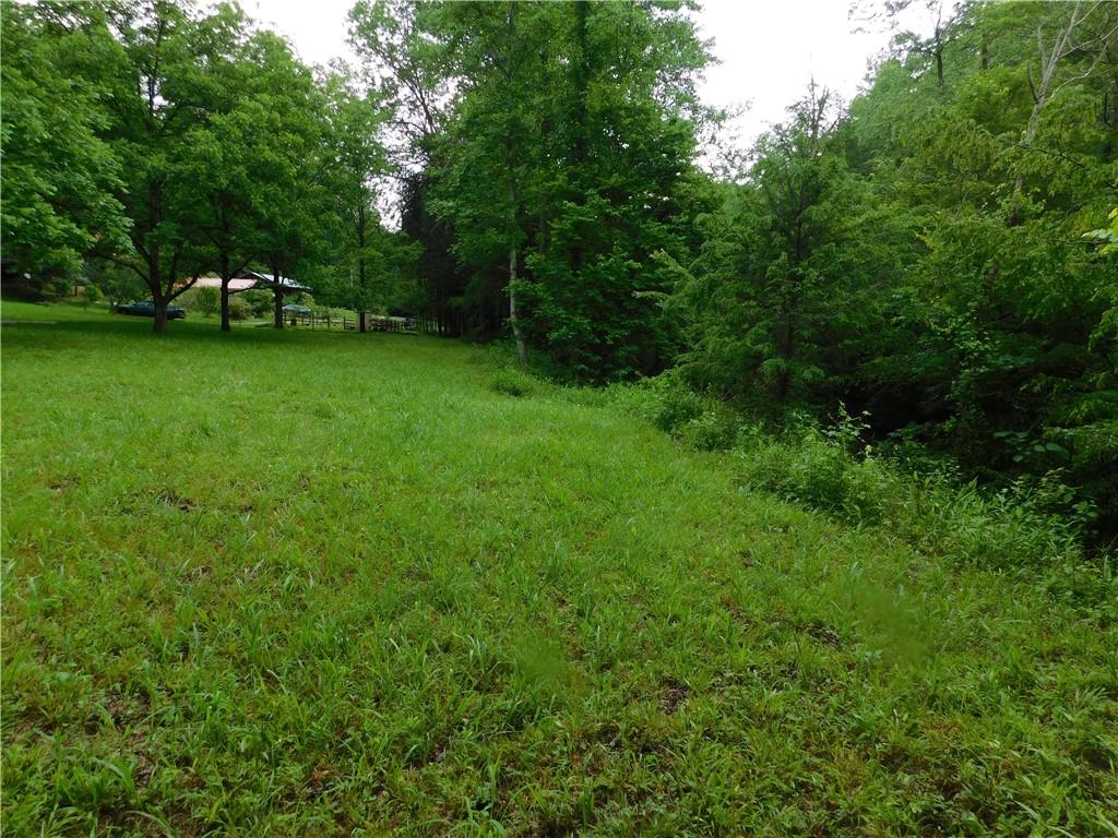 610 Tom Bell Odom Road
