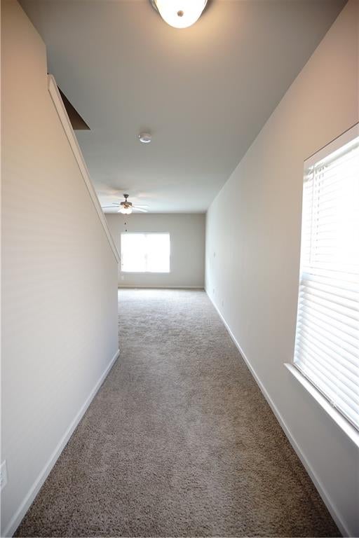 243 Fern Walk