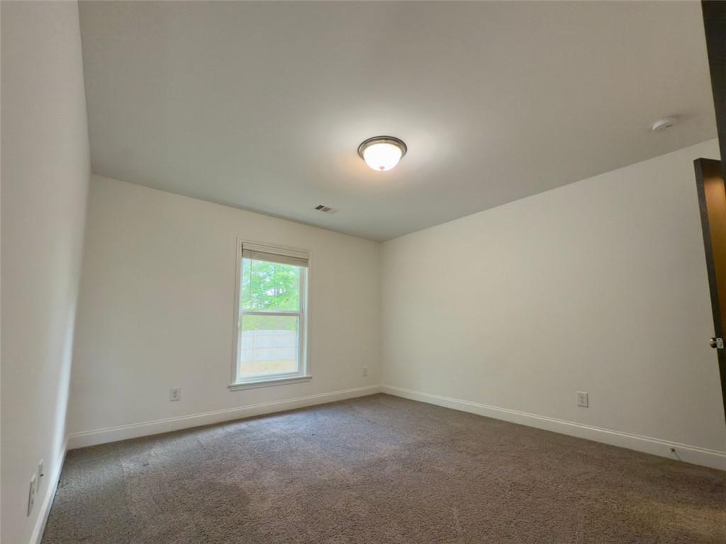 22 Watervine Court, Dallas, Georgia image 41