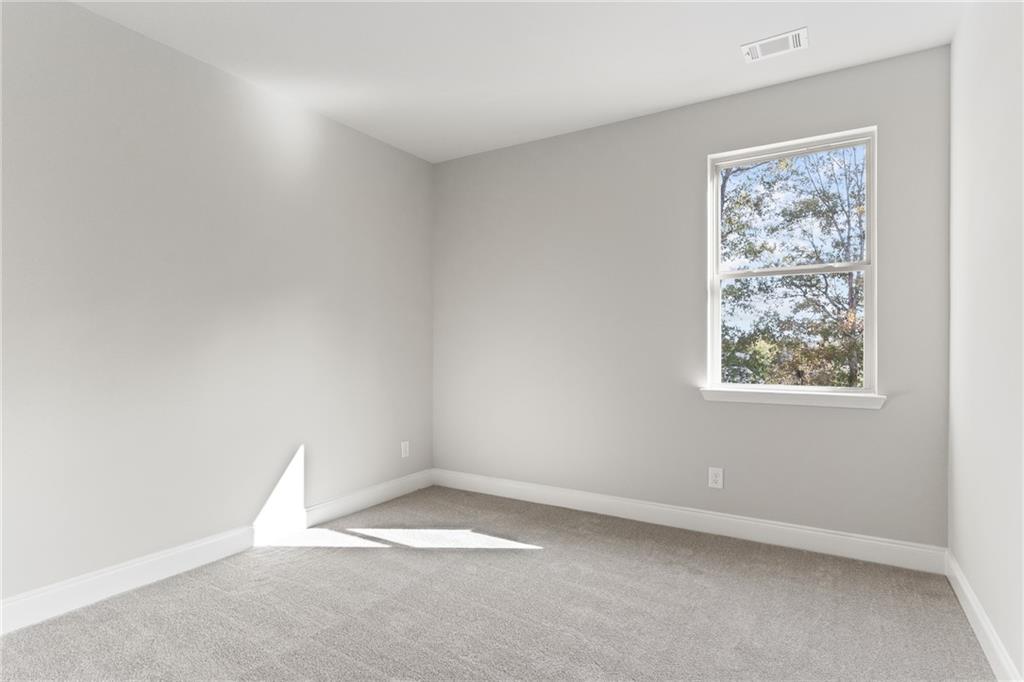 7244 Millbrae Walk, Flowery Branch, Georgia image 19