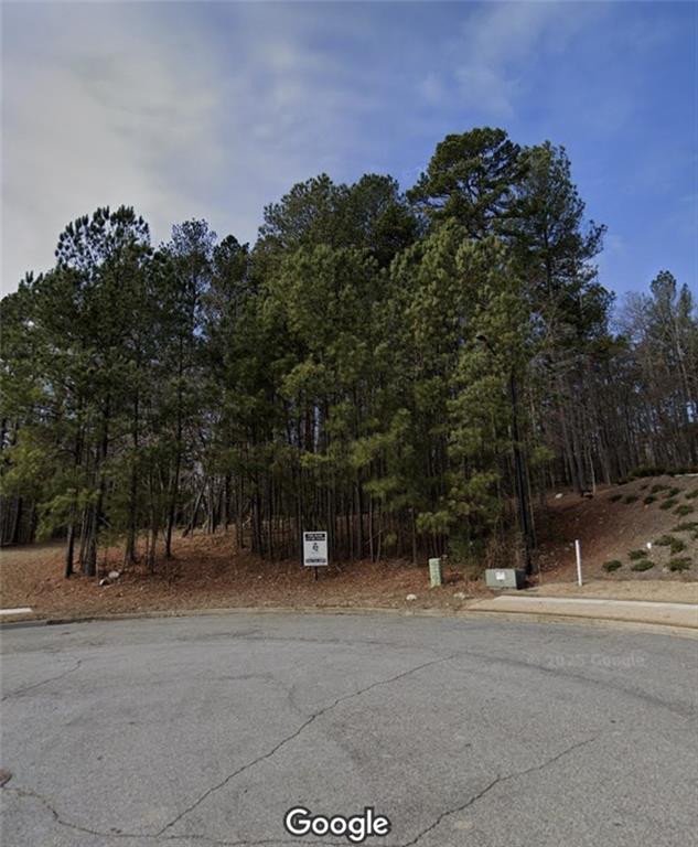 125 Terrace View Drive, Acworth, Georgia image 4