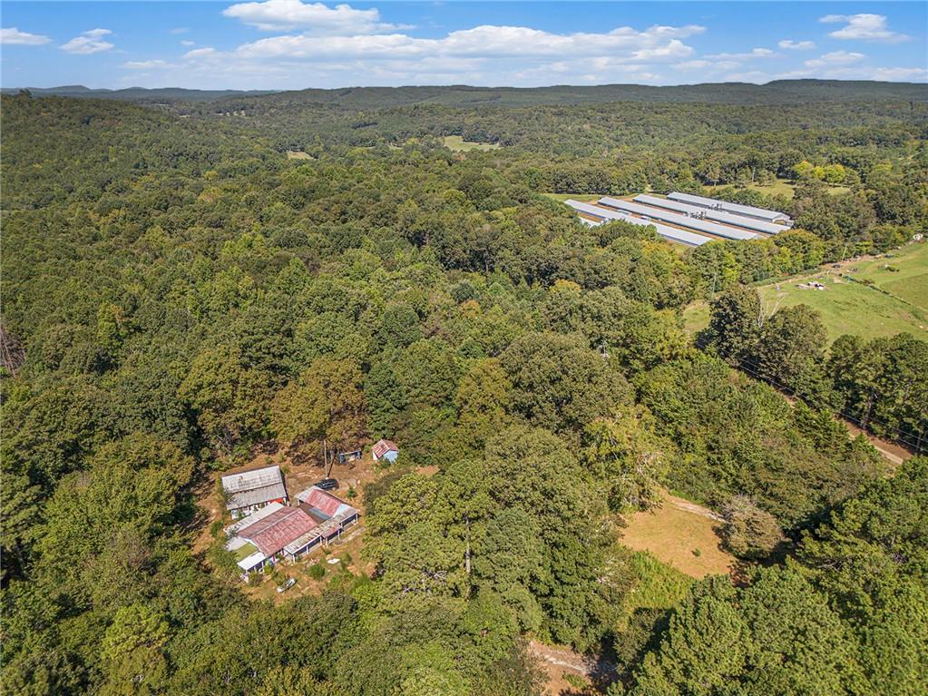 655 Hall Station Road