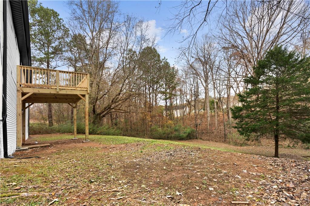 247 Mandy Court, Mcdonough, Georgia image 23