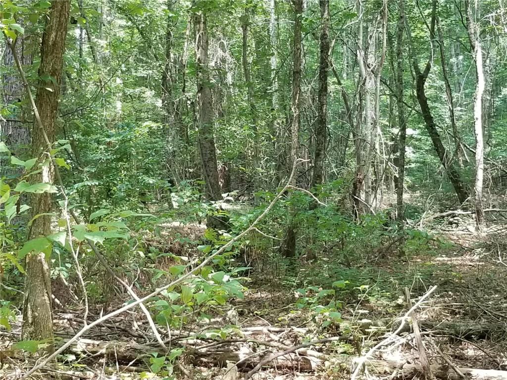 00 Town Creek Road, Franklin, Georgia image 3