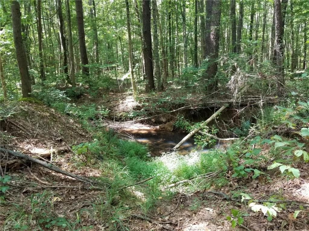 00 Town Creek Road, Franklin, Georgia image 6