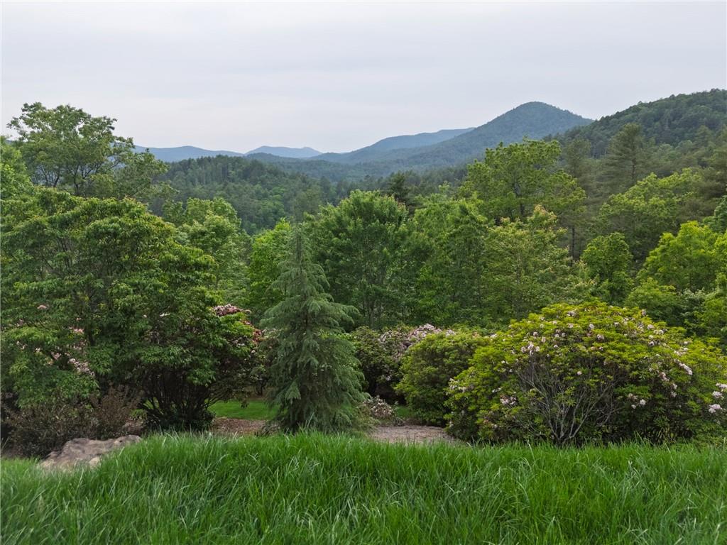 295 Goble Gap Lane, Clayton, Georgia image 42