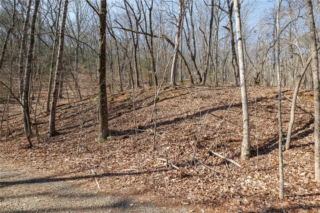 Wauka Mountain Terrace, Cleveland, Georgia image 40