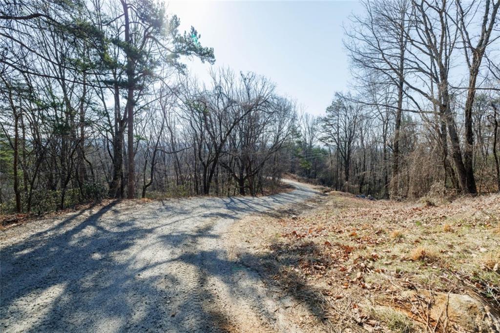 Wauka Mountain Terrace, Cleveland, Georgia image 30