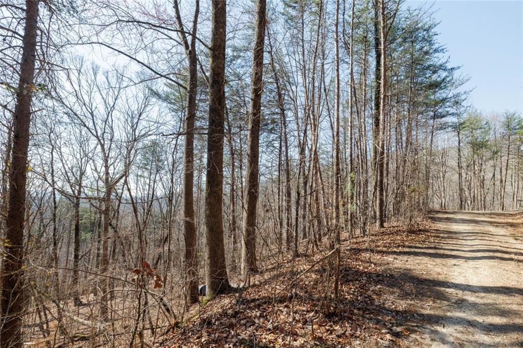 Wauka Mountain Terrace, Cleveland, Georgia image 32