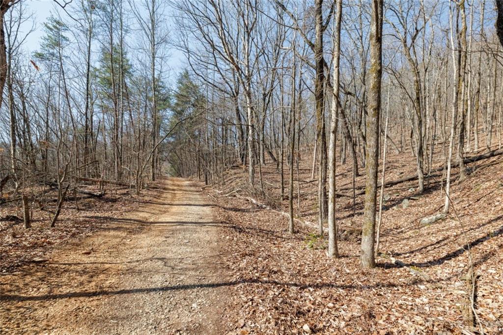 Wauka Mountain Terrace, Cleveland, Georgia image 37