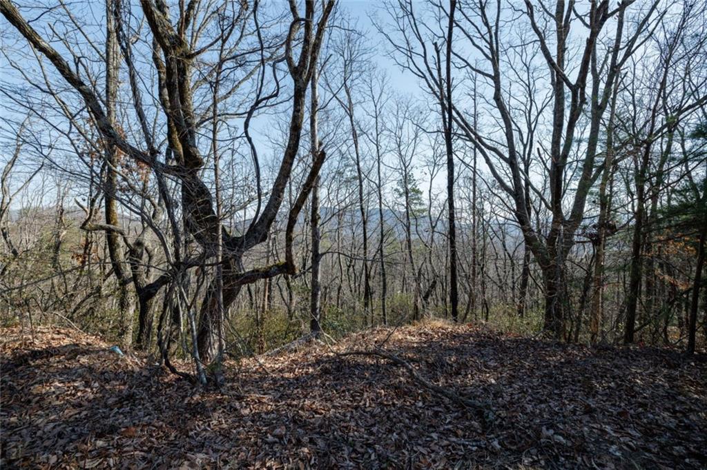 Wauka Mountain Terrace, Cleveland, Georgia image 28