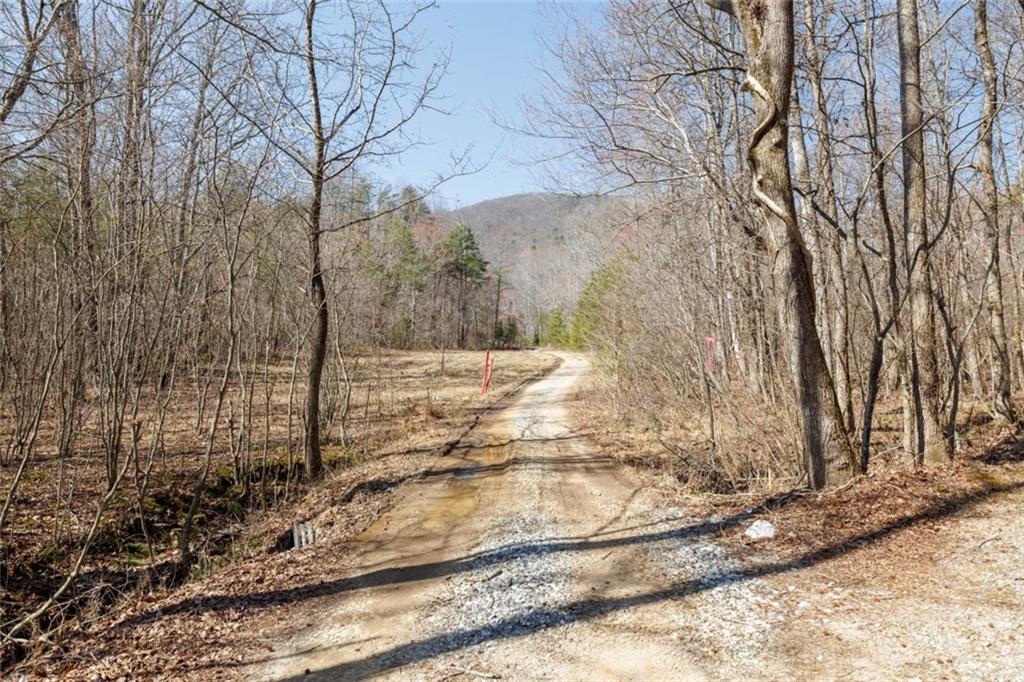 Wauka Mountain Terrace, Cleveland, Georgia image 20