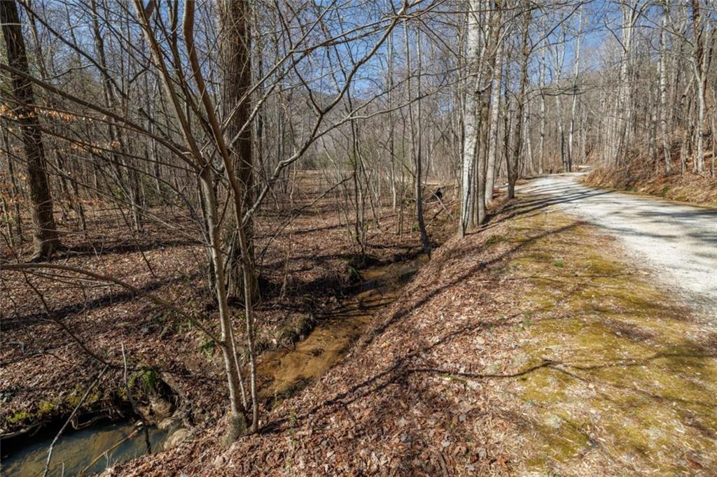 Wauka Mountain Terrace, Cleveland, Georgia image 26