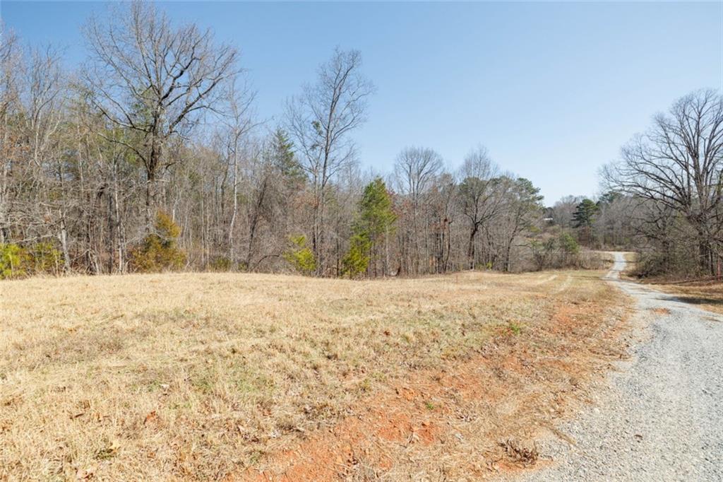 Wauka Mountain Terrace, Cleveland, Georgia image 17