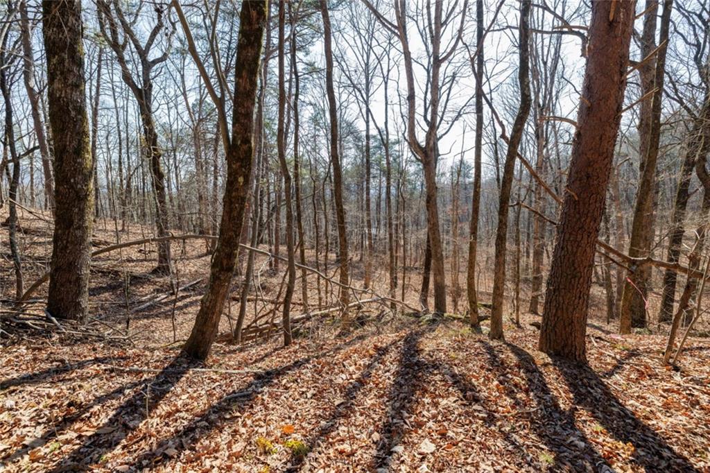 Wauka Mountain Terrace, Cleveland, Georgia image 39