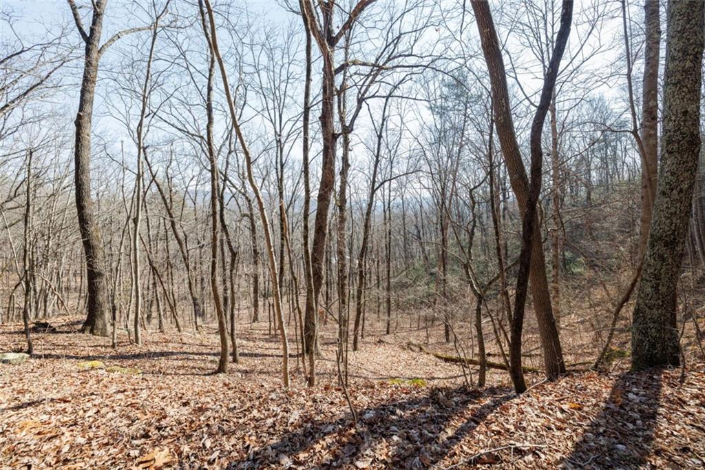 Wauka Mountain Terrace, Cleveland, Georgia image 41