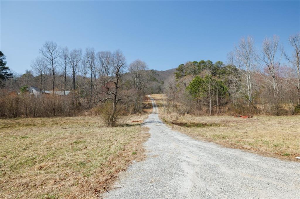 Wauka Mountain Terrace, Cleveland, Georgia image 4