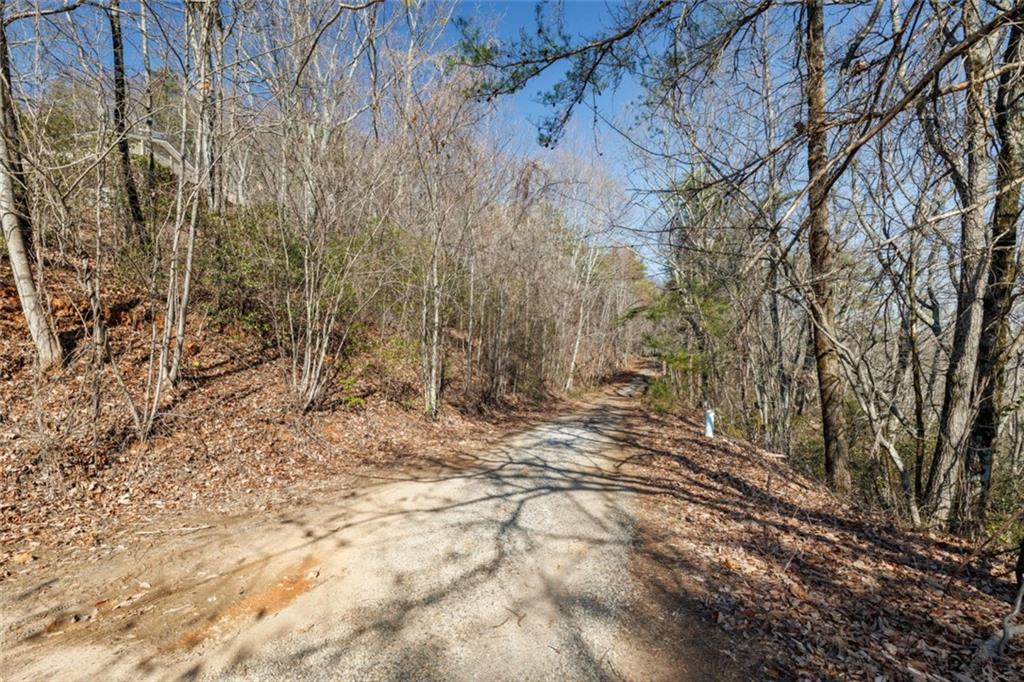 Wauka Mountain Terrace, Cleveland, Georgia image 29