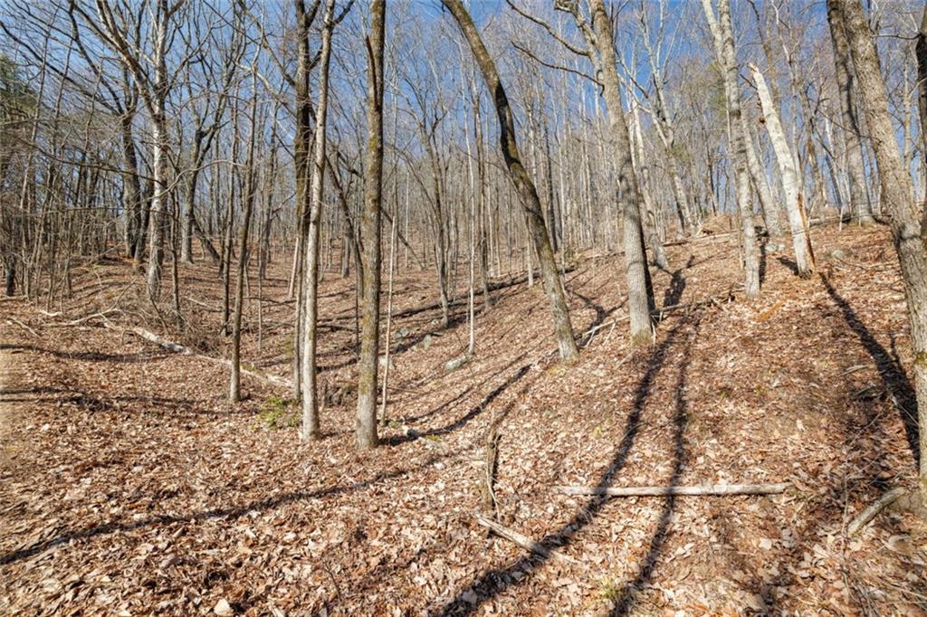 Wauka Mountain Terrace, Cleveland, Georgia image 36