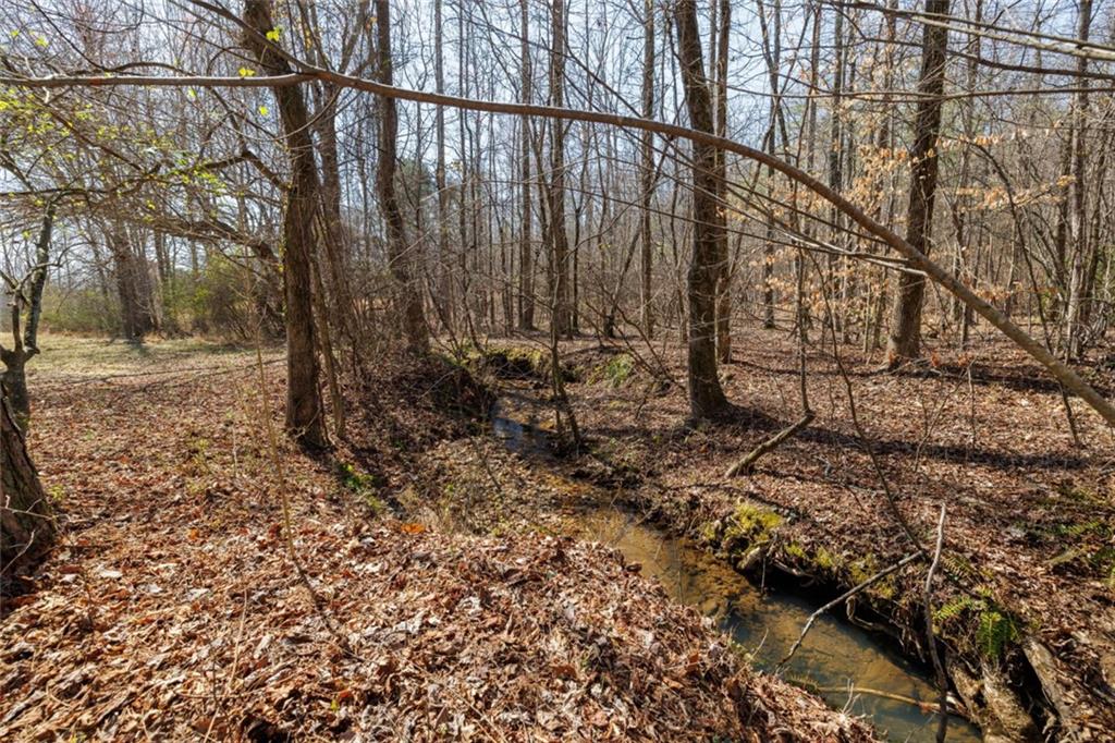 Wauka Mountain Terrace, Cleveland, Georgia image 27