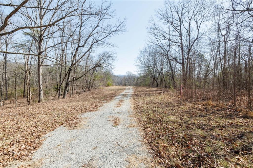 Wauka Mountain Terrace, Cleveland, Georgia image 16