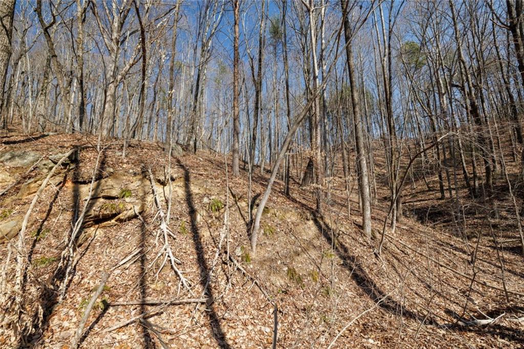 Wauka Mountain Terrace, Cleveland, Georgia image 35