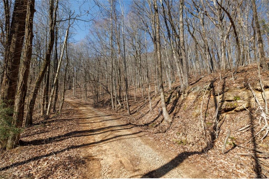 Wauka Mountain Terrace, Cleveland, Georgia image 34