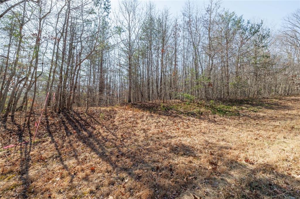 Wauka Mountain Terrace, Cleveland, Georgia image 9