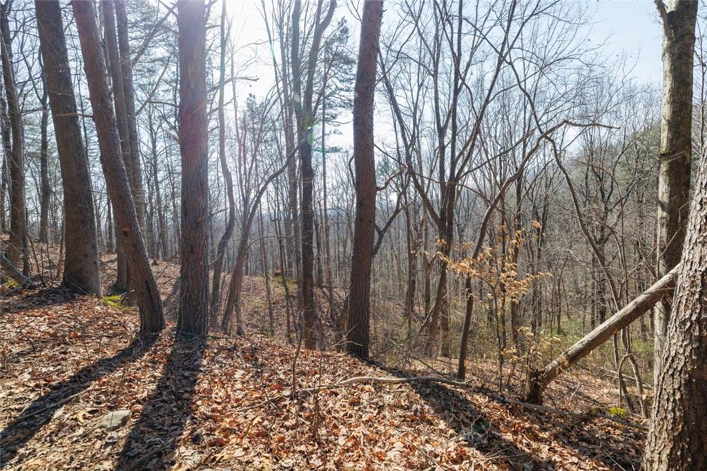 Wauka Mountain Terrace, Cleveland, Georgia image 33