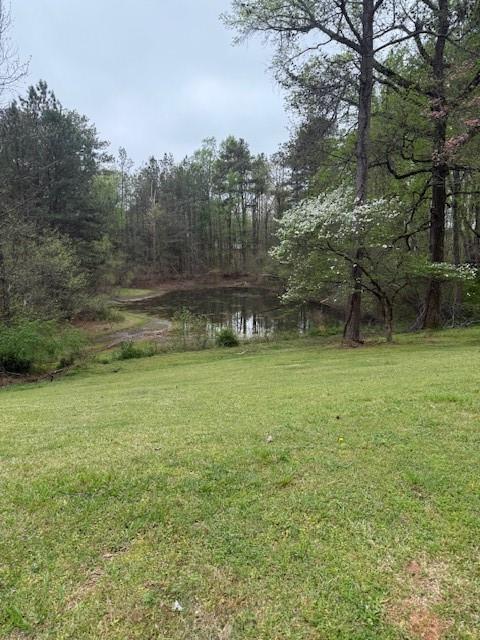 1935 Flat Shoals Road, Conyers, Georgia image 15