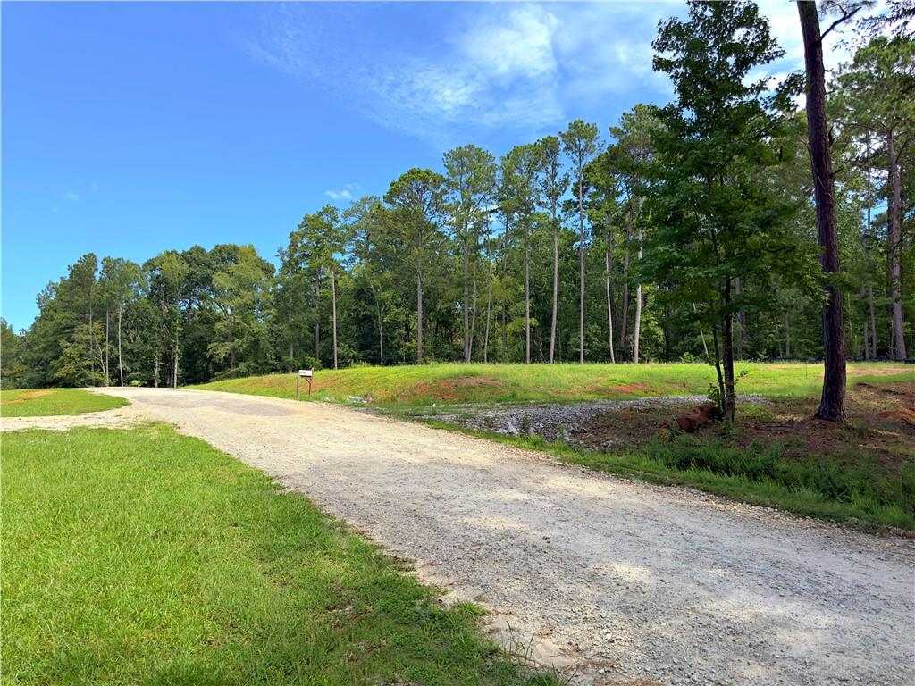 1590 Arrowhead Road, Greensboro, Georgia image 24