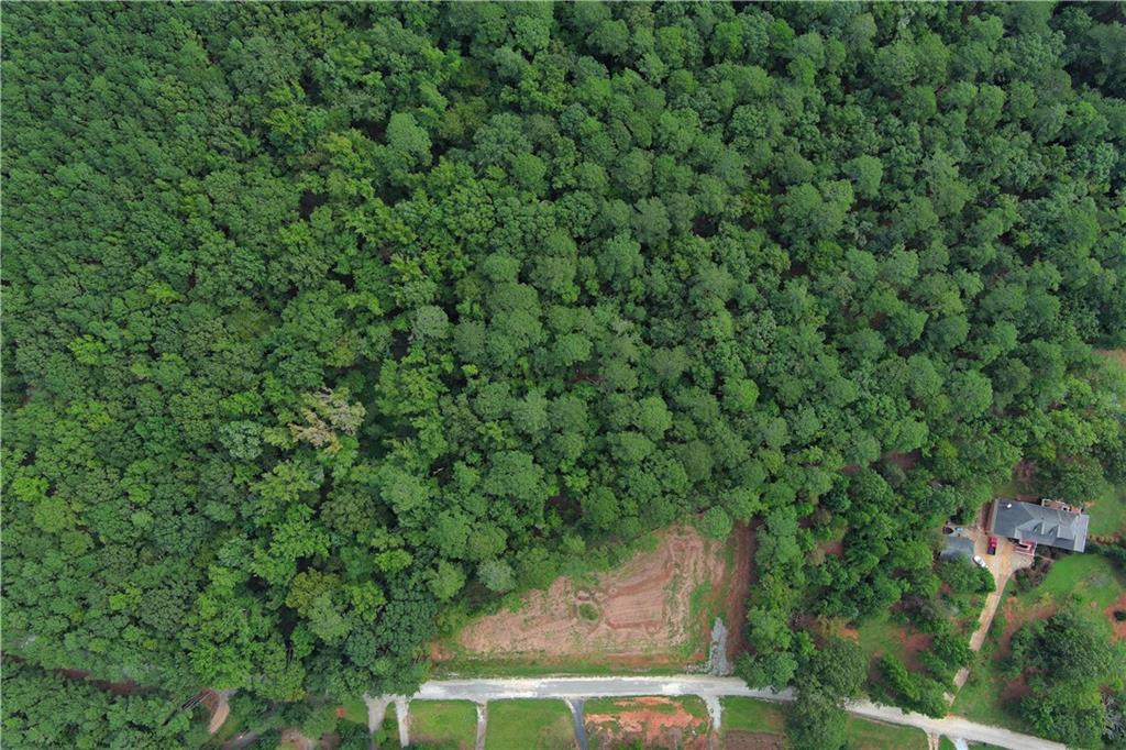 1590 Arrowhead Road, Greensboro, Georgia image 18