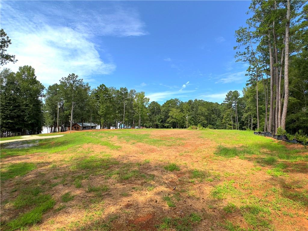 1590 Arrowhead Road, Greensboro, Georgia image 25