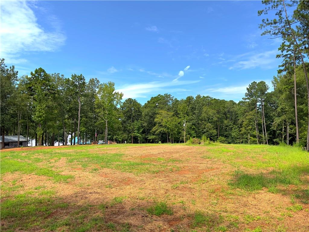 1590 Arrowhead Road, Greensboro, Georgia image 10