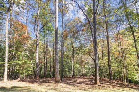 A home in Ellijay