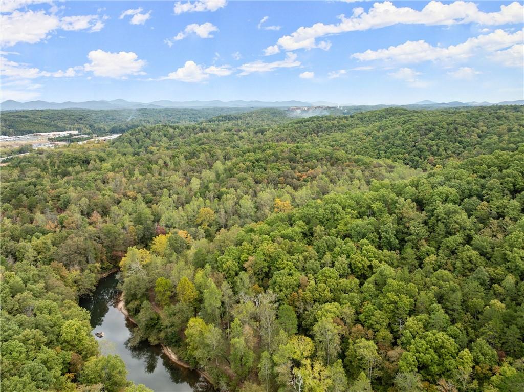 1036 Fox Hollow Road Rd, Dahlonega, Georgia image 17