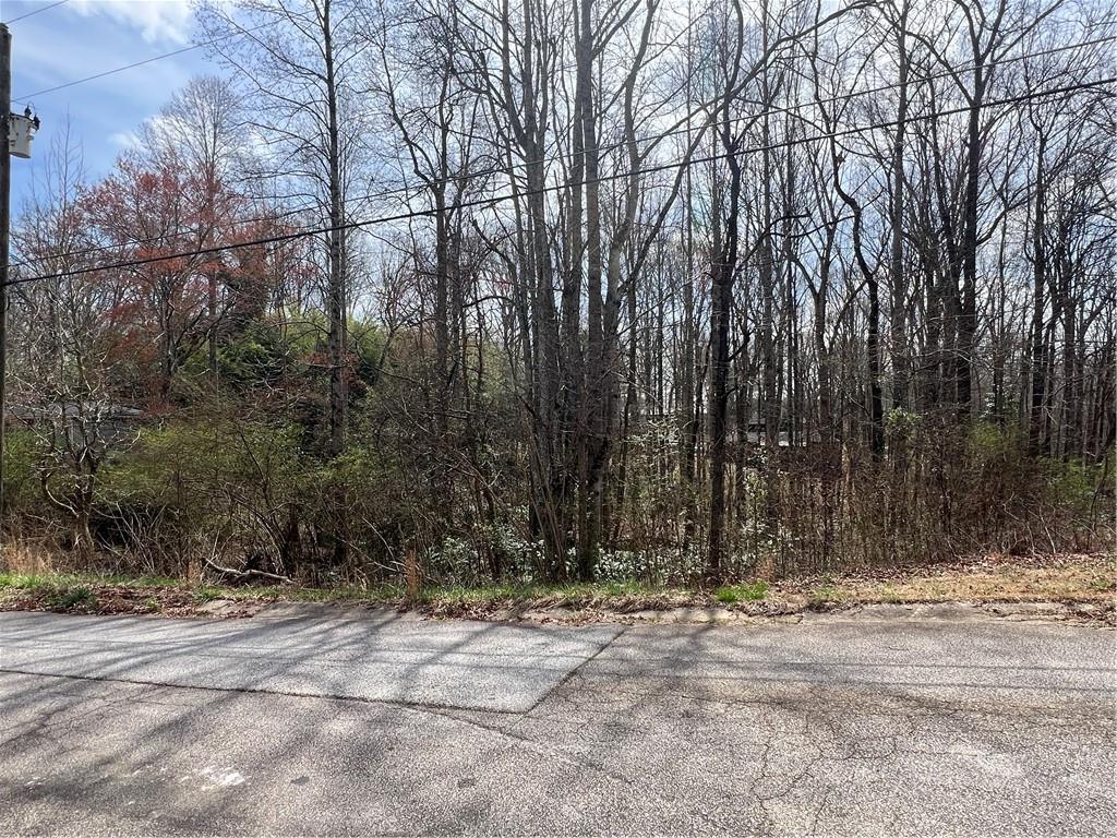 5825 N Bear Drive, Douglasville, Georgia image 10