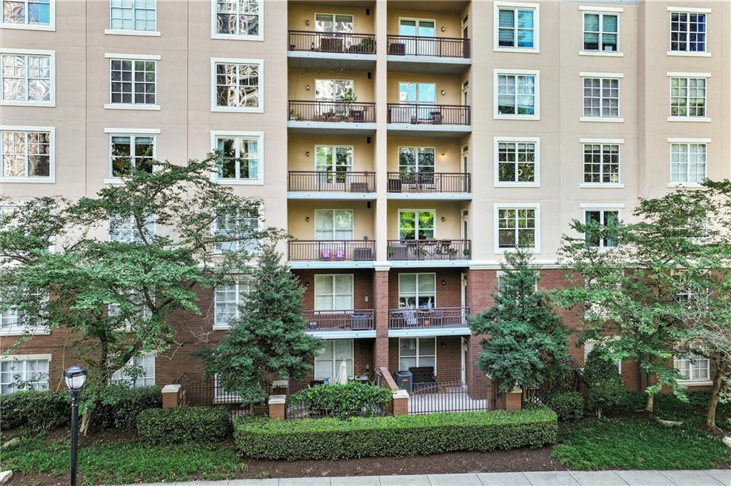 1101 Juniper Street NE #319