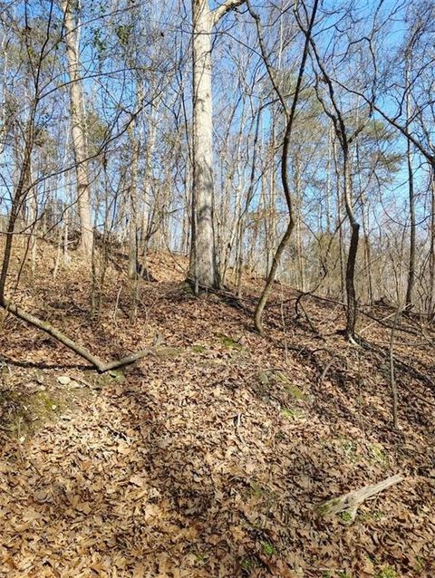 Vacant Land For Sale - 0000 Braswell Road<br/> Rockmart, GA 30153