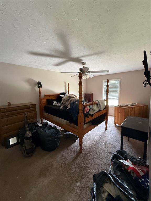 141 Scarlett Place Drive