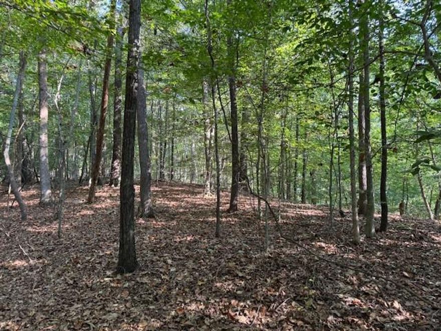 This is the opportunity you've been waiting for!! 4.5 acres, zoned AG, in Cherokee County. Great location, great schools, and an amazing piece of property. With over 700' of road frontage, this property is truly unique. Gently sloped and plenty of places to build. Located just east of 575 and south of highway 20; but feels like you're a world away with the privacy that this lot offers. You don't see parcels this desirable come on the market very often. Plenty of room for 2 homes with the current zoning. County water is available nearby. Lovely neighborhood and a fantastic location. Easy to walk. Sign is placed in the approximate center of the road frontage. Please call before showing.