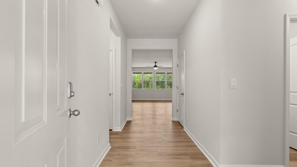 3113 Hallsley Drive